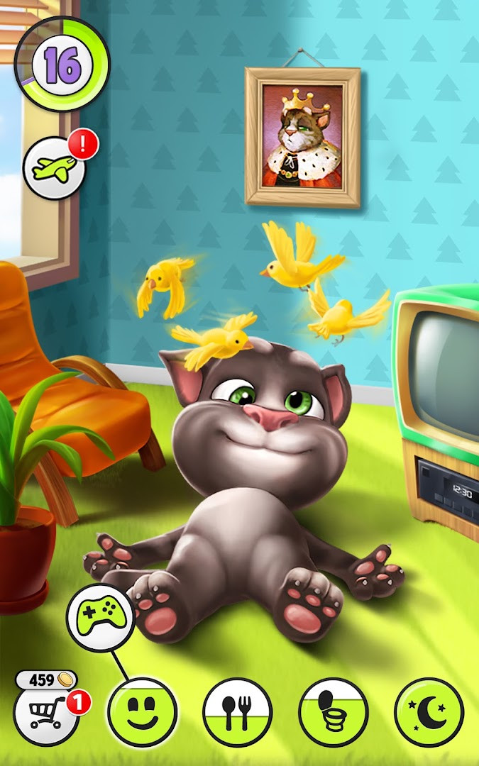 Filling a photo album with memories of your cat adventures