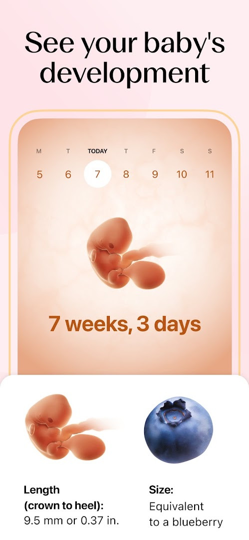 Flo Ovulation & Period Tracker basal body temperature chart for tracking fertility signs