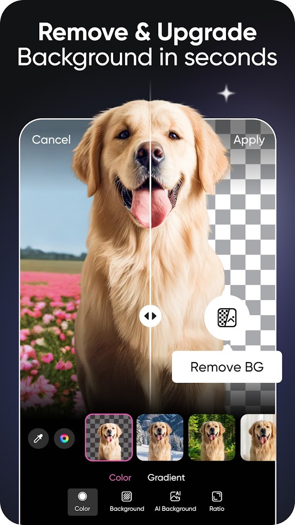 AI image generator turning text prompts into artwork and GIFs